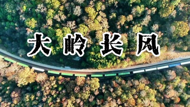 大岭长风(词:费守疆,曲:王明喜,演唱:曲奉军)公交制作