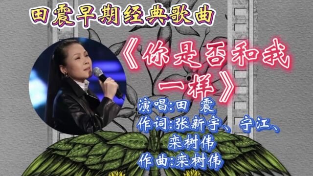 回顾田震经典歌曲《你是否和我一样》婉转歌词,特有的嗓音,勾起无数青春回忆!