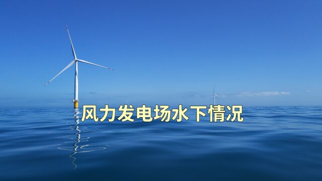 2023年6月3号惠州风力发电场水下情况