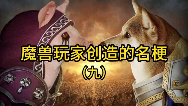 魔兽世界:玩家创造的名梗(九)