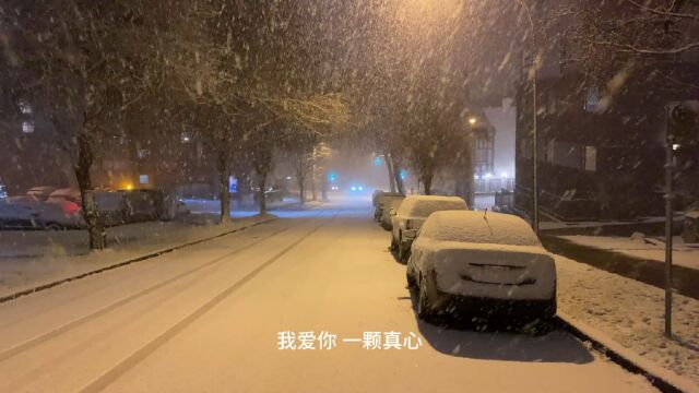 “望着天,下起了雪”