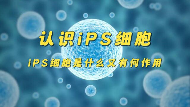 带你初步认识iPS细胞,ips细胞是什么又有何作用