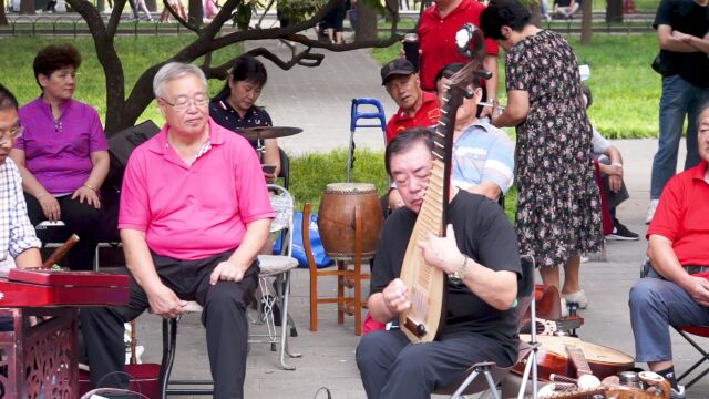 曹老师才艺展示:琵琶独奏《女儿情》,北京天坛琴之声乐队