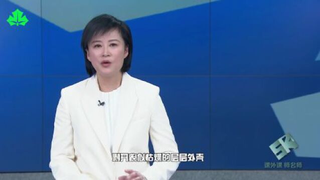 随手学科学——中国福利会少年宫科技教育部主任 周建中