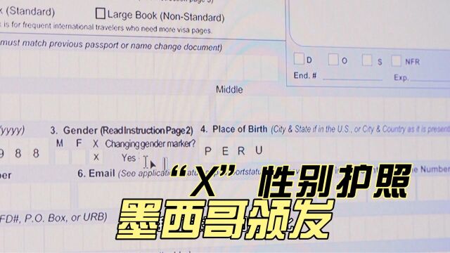 墨西哥颁发首本“X”性别护照,全球已有20余国跟进