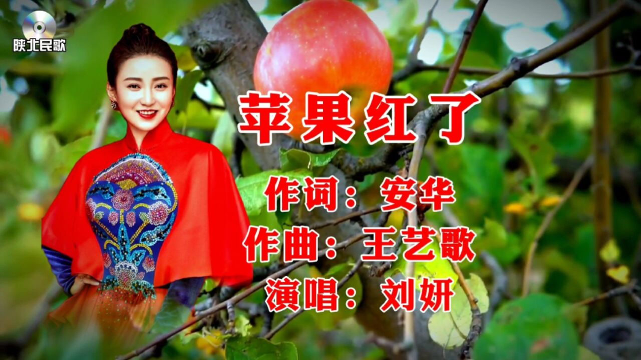 陕北民歌《苹果红了》刘妍演唱