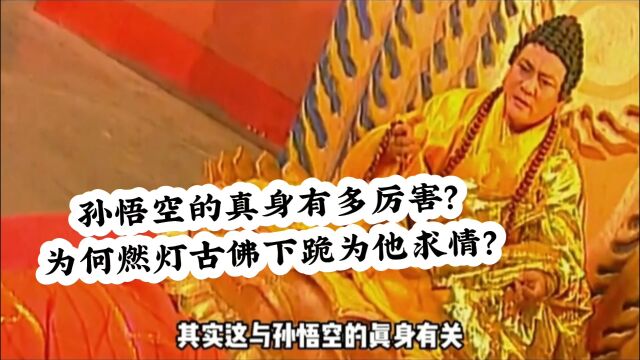 孙悟空的真身有多厉害?为何燃灯古佛下跪为他求情?