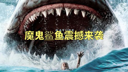 狂暴黑鲨：巨齿鲨VS魔鬼鲨，被石油泄漏的侵害的鲨鱼，竟然会这样