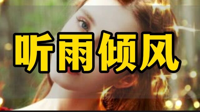 听雨倾风—芊艺福美锦文