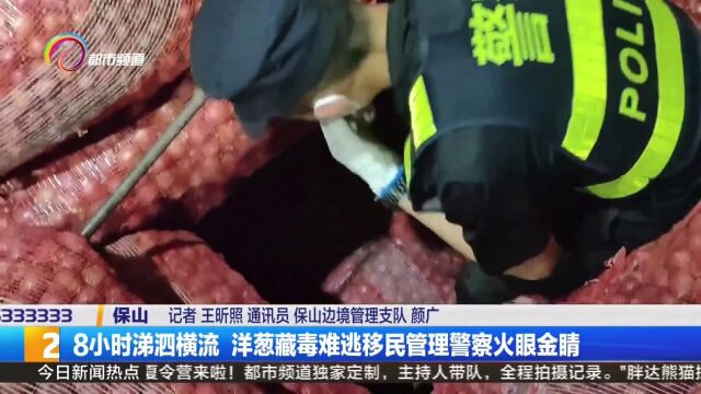 8小时涕泗横流 洋葱藏毒难逃移民管理警察火眼金睛