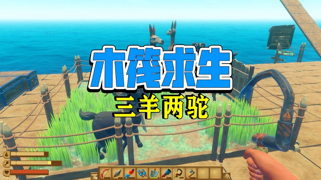 萌萌队长游戏解说