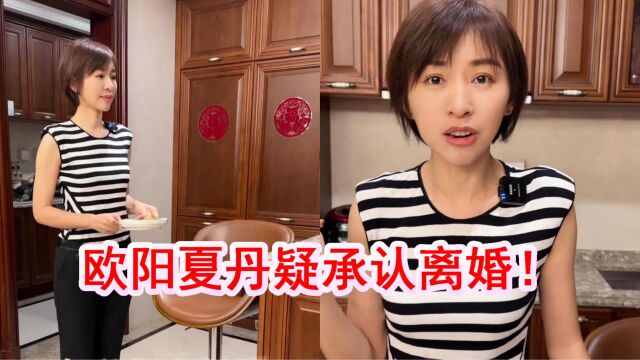 欧阳夏丹疑承认离婚!单身与母亲住北京豪宅,离开央视转行当网红