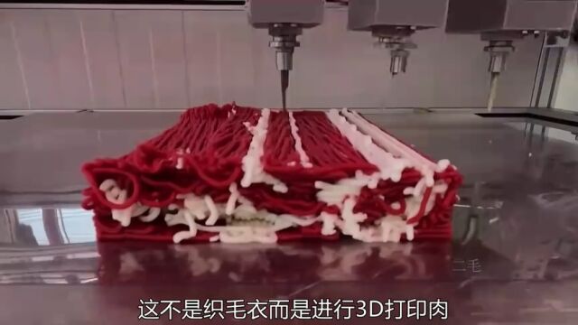 与真肉一样的3D打印肉,你吃过吗