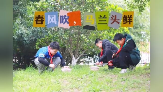 浙江省湖州市月河小学:三真三实,劳育生花,让孩子在真实场域实践中培养生态劳动观念 | 关注