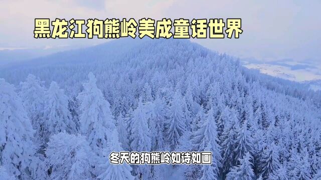 狗熊岭的冬季美景,宛如童话世界