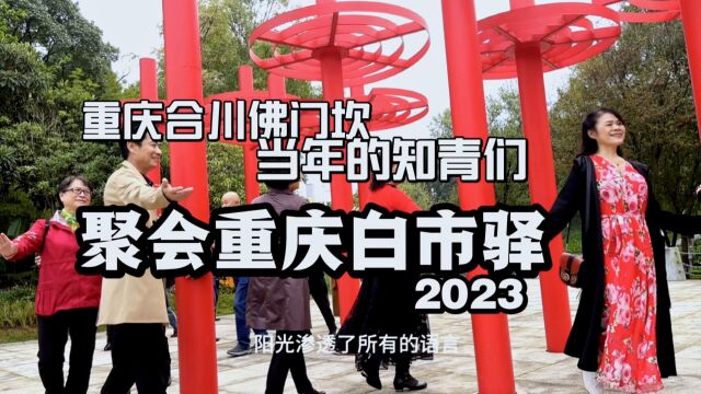 重庆合川佛门坎当年的知青们聚会重庆白市驿2023/ 10首经典知青歌曲