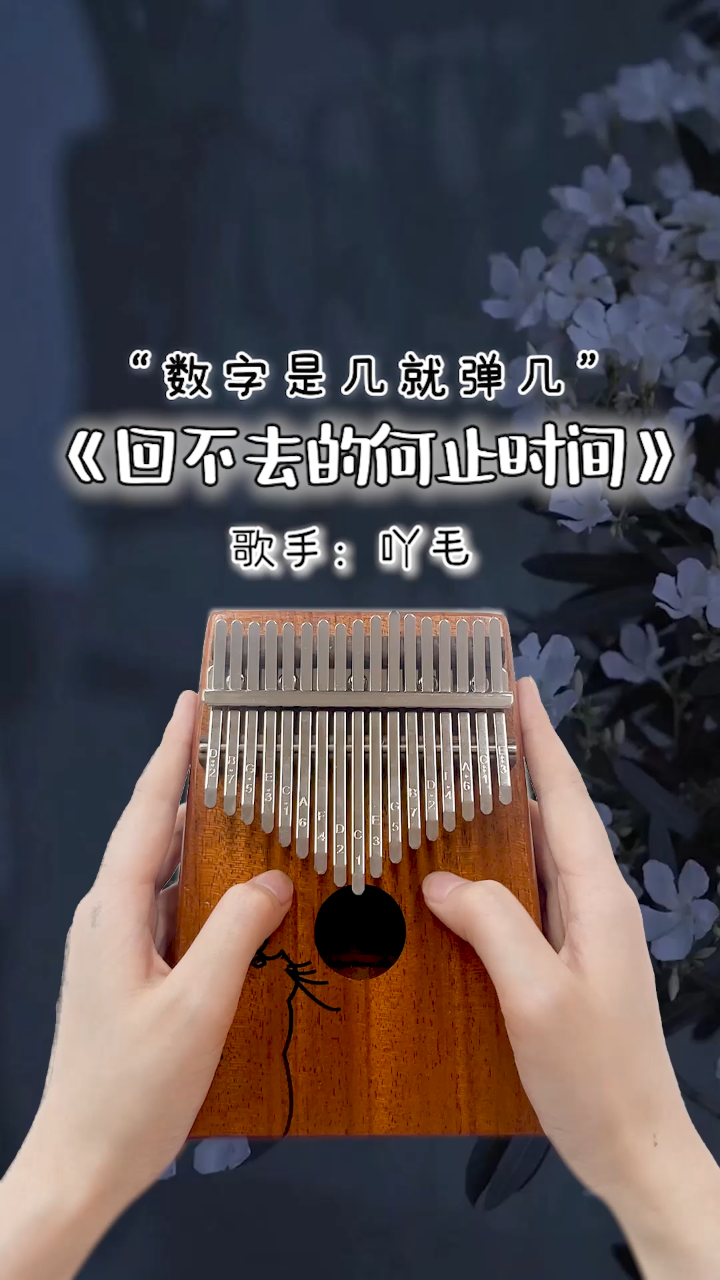 "风又起,叶落地,思念更浓郁"《回不去的何止时间》卡林巴拇指琴演奏