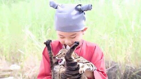 男孩无意救下一只猫，谁知竟是会说话的灵猫，带他去仙界游玩