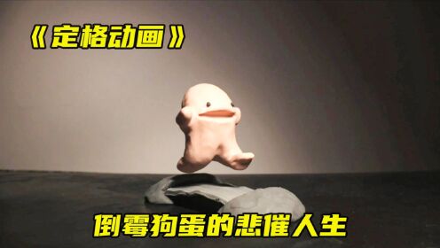 《定格动画》倒霉狗蛋的悲催人生_高清