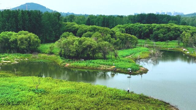 青山绿水醉人间!航拍枣庄黑峪水库“生态美景图”