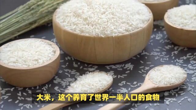 大米:作为全球许多国家的主食,具有多样的品种、复杂的生产过程、广泛的消费群体和丰富的营养价值和文化意义