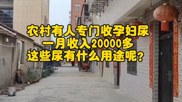 农村有人专门收孕妇尿,一月收入20000多,这些尿有什么用途呢?