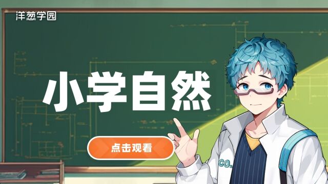 【自然大百科】32种子是怎样一步步长出小芽的?