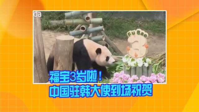 福宝3岁啦!中国驻韩大使到场祝贺