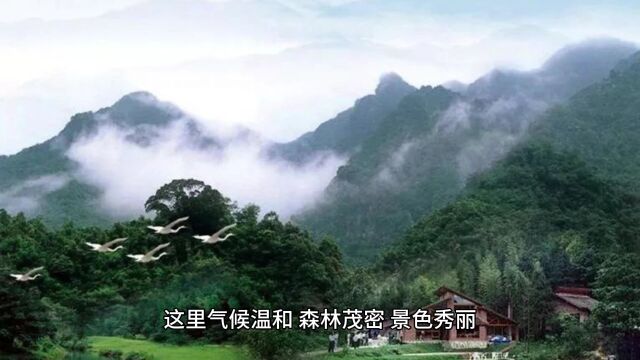 南昆山避署攻略:探访历史古迹,体验自然风光!