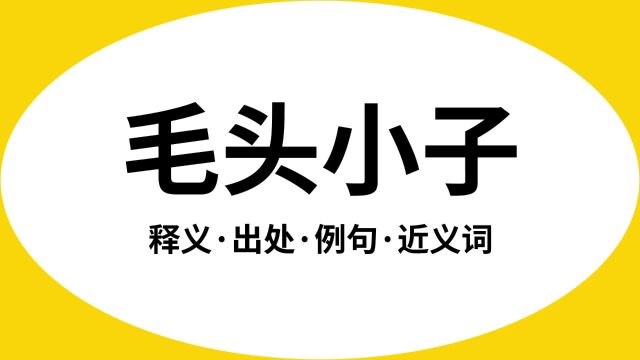 “毛头小子”是什么意思?