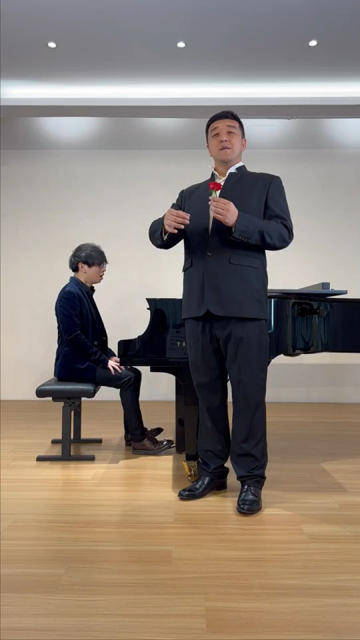 高低音演绎国风#段俊 #钢琴 #邓紫棋 #桃花诺