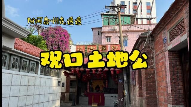 观口黄土地公#阳啊开讲 #宋元中国看泉州