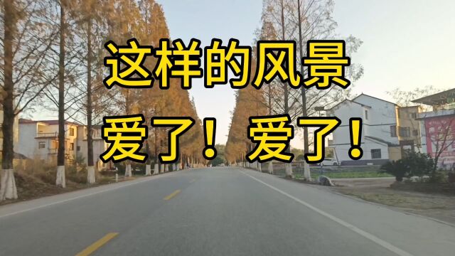 这样的冬日美景,我们的共同家园!爱了!爱了!#秋日好风景!