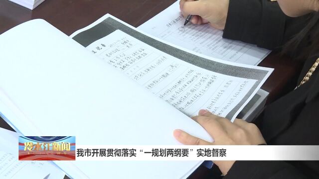 我市开展贯彻落实“一规划两纲要”实地督察