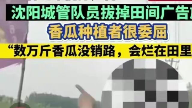 城管拔瓜农广告旗事件引发全网热议,背后真相如何?官方回应来了