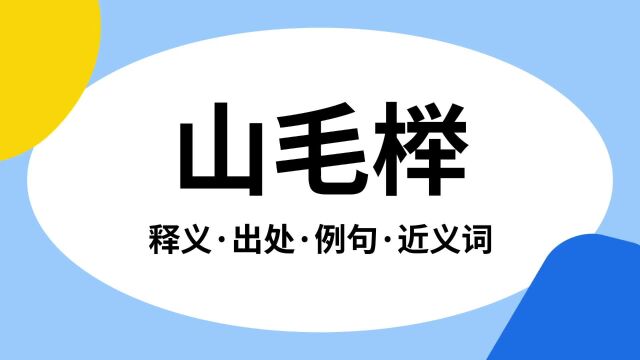 “山毛榉”是什么意思?