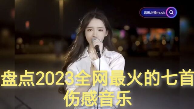 盘点2023年全网火爆全网的七首伤感音乐