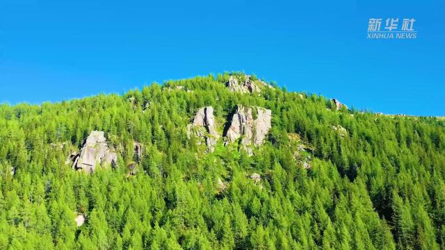 新疆阿勒泰:夏日野卡峡 绿草茵茵水潺潺