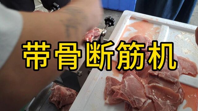 工人们享福了,猪扒带骨嫩肉断筋机设备,取代人工反复捶打