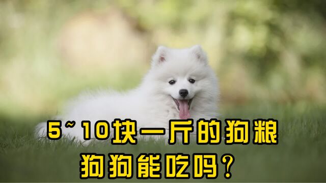 5~10块一斤的狗粮,能够给狗狗吃吗?