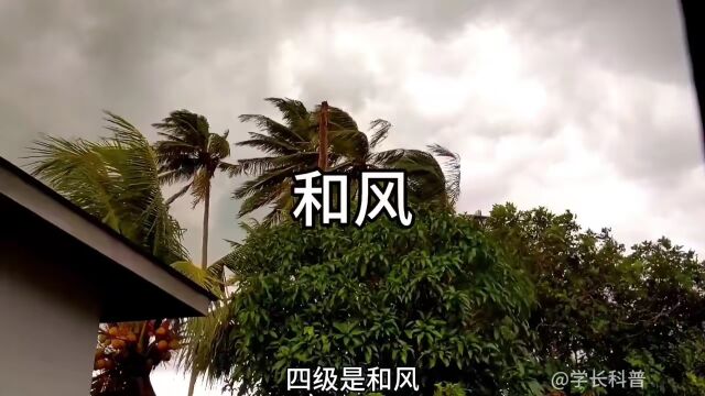 17级台风有多可怕涨知识台风超强台风#自然灾害