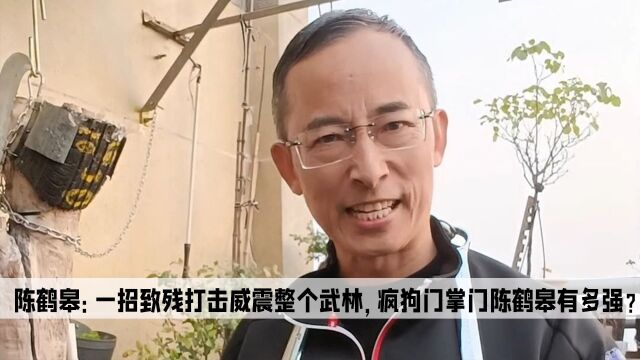 陈鹤皋:一招致残打击威震整个武林,疯狗门掌门人陈鹤皋有多强?