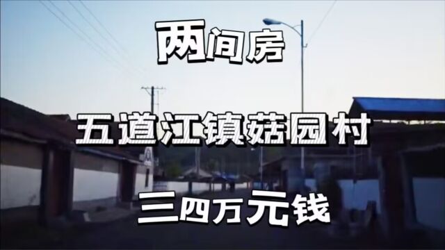 通化市五道江镇菇园村,房子非常的便宜,三四万块钱可以买两间房