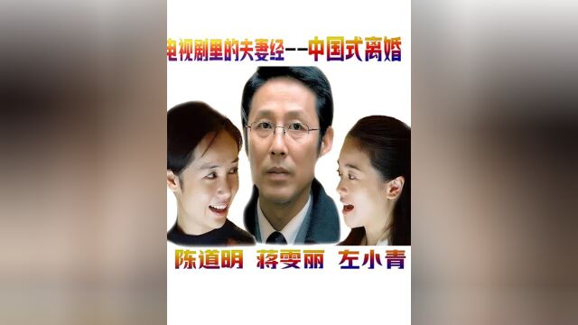 陈道明主演,男人老婆和自己的假想情敌探讨夫妻之间的私密事情 #中国式离婚