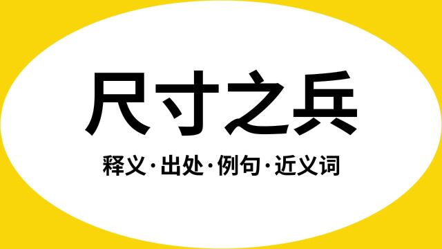 “尺寸之兵”是什么意思?