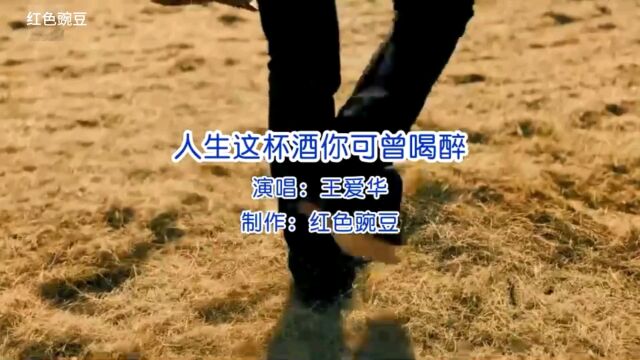 王爱华一曲《人生这杯酒你可曾喝醉》深情入心唱出所有人心声