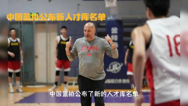 杨瀚森等新人闪耀CBA,中国篮协公布新的人才库名单