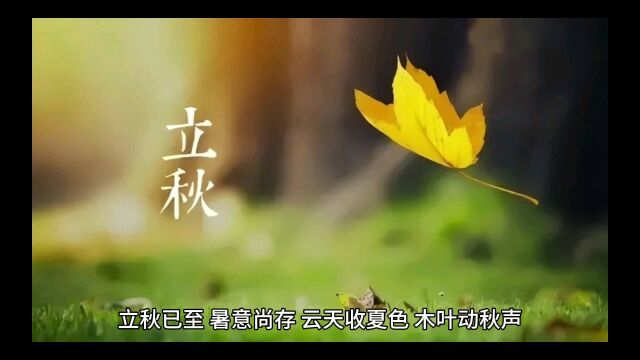 二十四节气之立秋