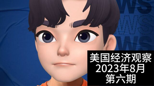 美国经济观察 2023年8月 第六期