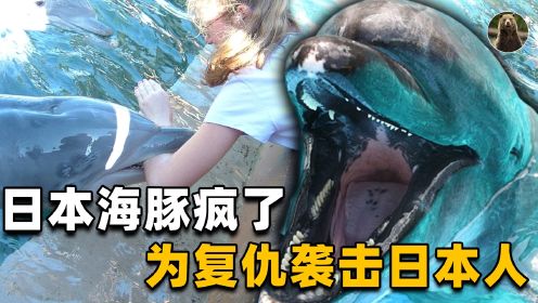 日本海豚疯狂攻击日本人！或与海豚湾屠杀有关，难道海豚在复仇？